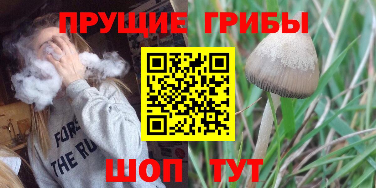 Галлюциногенные грибы GOLDEN TEACHER  Псилоцибиновые грибы Psilocybe  Россошь  Вход с VPN 